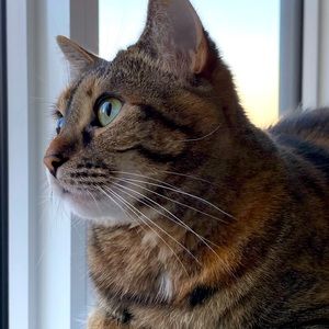 Meet your Posher, Louisa